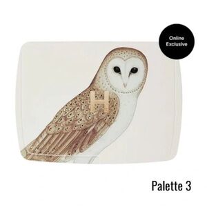 Owl Hourglass Ambient Lighting Palette